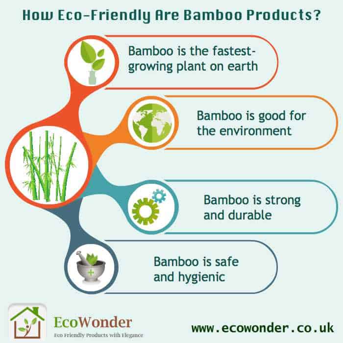 How Eco Friendly Are Bamboo Products? | Ecowonder